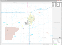 Saline Wall Map Premium Style