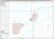 Saline Wall Map Premium Style