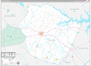 Saluda Wall Map Premium Style