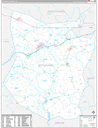 Schoharie Wall Map Premium Style