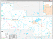 Shawano Wall Map Premium Style