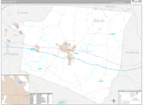 Shelby Wall Map Premium Style