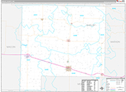 Shelby Wall Map Premium Style
