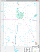 Steele Wall Map Premium Style