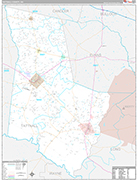 Tattnall Wall Map Premium Style