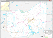 Taylor Wall Map Premium Style