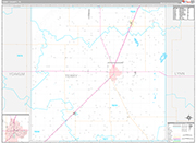 Terry Wall Map Premium Style