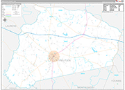 Treutlen Wall Map Premium Style