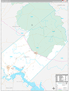 Trinity Wall Map Premium Style