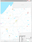 Tuscola Wall Map Premium Style