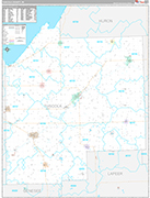 Tuscola Wall Map Premium Style
