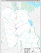 Tyler Wall Map Premium Style