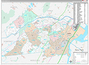 Union Wall Map Premium Style