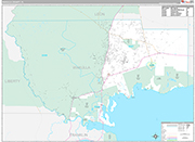 Wakulla Wall Map Premium Style