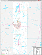 Washington Wall Map Premium Style