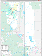 Washoe Wall Map Premium Style