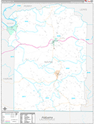 Wayne Wall Map Premium Style