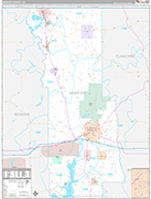 Webster Wall Map Premium Style