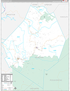 Webster Wall Map Premium Style