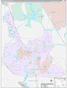 Williamsburg County Wall Map Premium Style