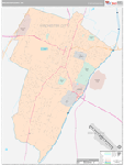 Winchester County Wall Map Premium Style
