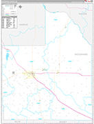 Woodward Wall Map Premium Style