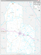 Worth Wall Map Premium Style