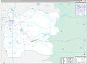 Albany Wall Map Premium Style