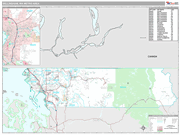 Bellingham Wall Map Premium Style