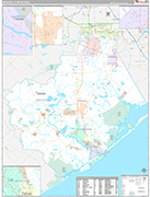 Brazoria Wall Map Premium Style