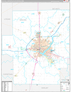 Decatur Metro Area Wall Map Premium Style