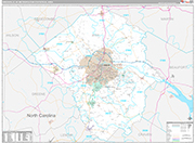Greenville Wall Map Premium Style