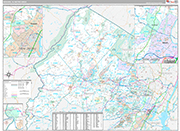 Newark Wall Map Premium Style