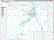 Saginaw Wall Map Premium Style