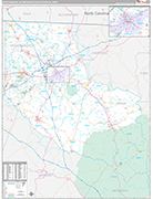 Spartanburg Wall Map Premium Style