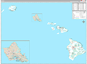 Hawaii Wall Map Premium Style