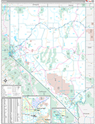 Nevada Wall Map Premium Style