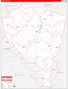 Lewis County Wall Map Red Line Style