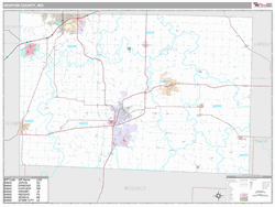 Newton County, MO Map (Premium Style)