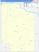 Cedar County, NE Digital Map Basic Style