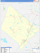 Hays County, TX Digital Map Basic Style