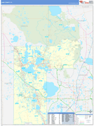 Lake County, FL Digital Map Basic Style