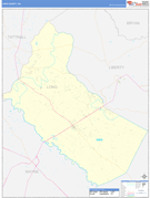 Long County, GA Digital Map Basic Style