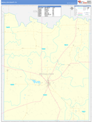 McCulloch County, TX Digital Map Basic Style