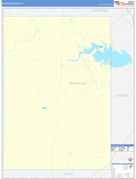 McMullen County, TX Digital Map Basic Style