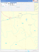 Nolan County, TX Digital Map Basic Style