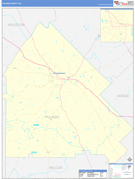 Pulaski County, GA Digital Map Basic Style