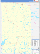 Todd County, MN Digital Map Basic Style