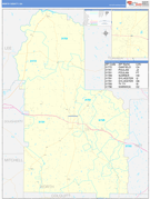 Worth County, GA Digital Map Basic Style