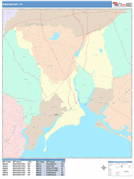Bridgeport Digital Map Color Cast Style
